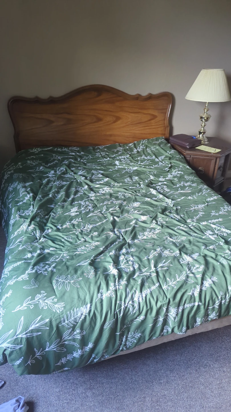Double bed with mattress- no bedding or box spring