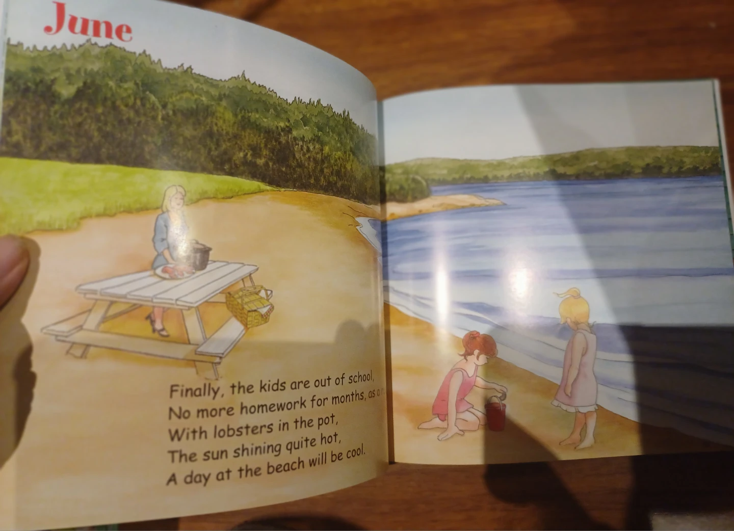 A Newfoundland Year - Children's Book by Dawn Baker - photo 5