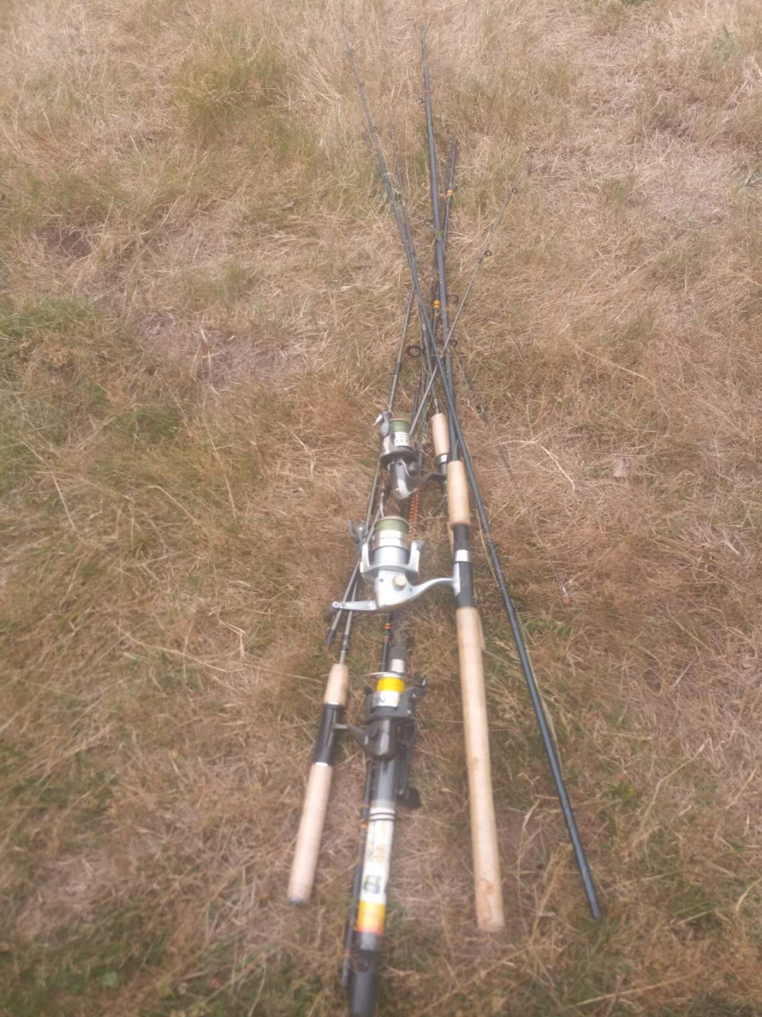 Fishing rods