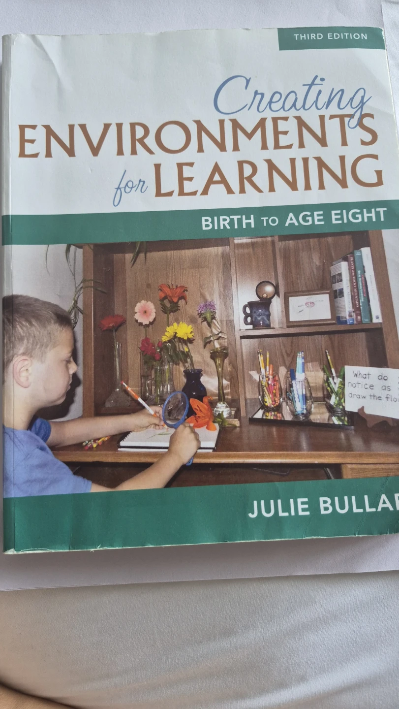 Creating Environments for Learning - photo 4