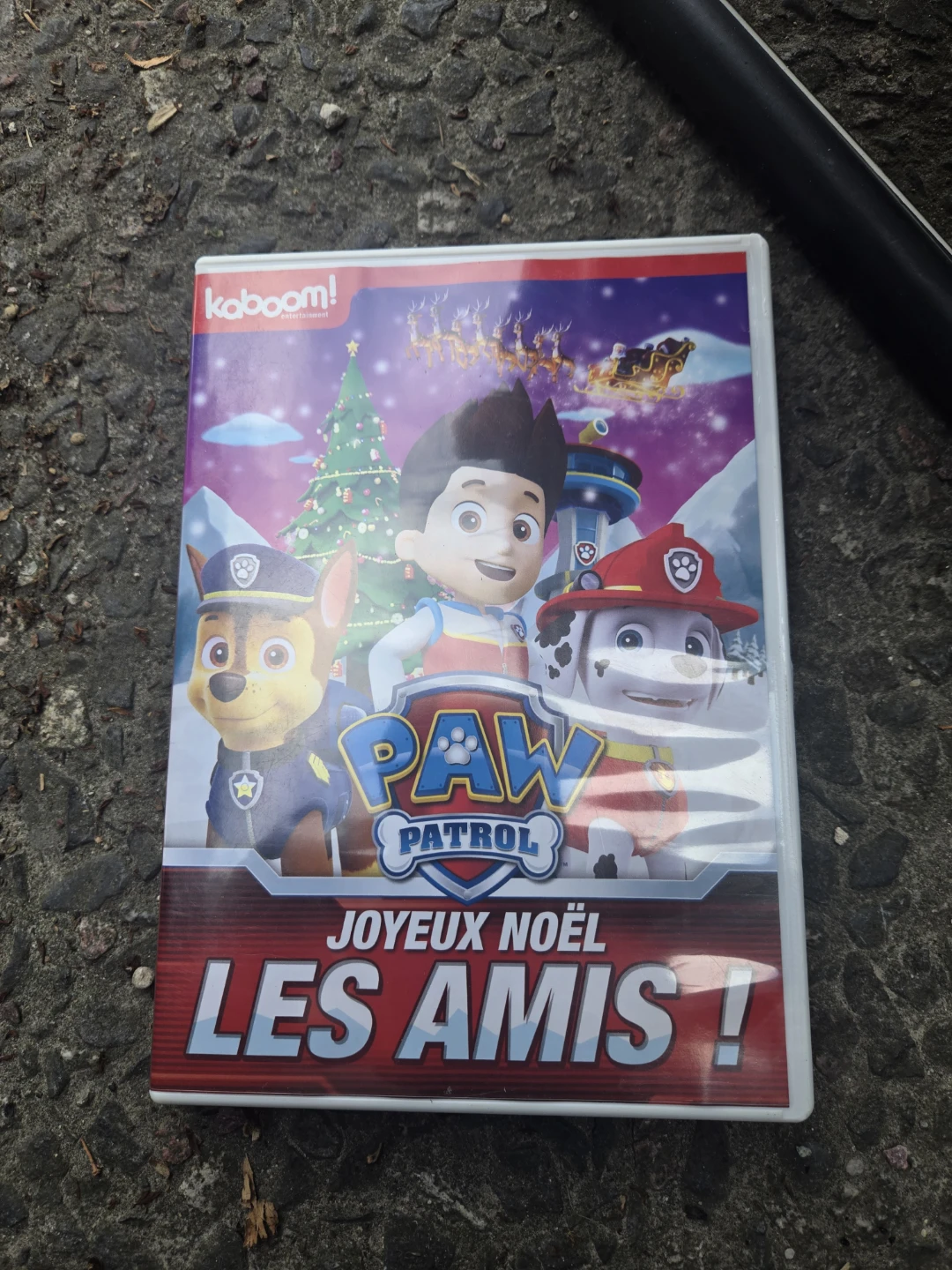 Paw Patrol "Joyeux Noel Les Amis!" DVD
