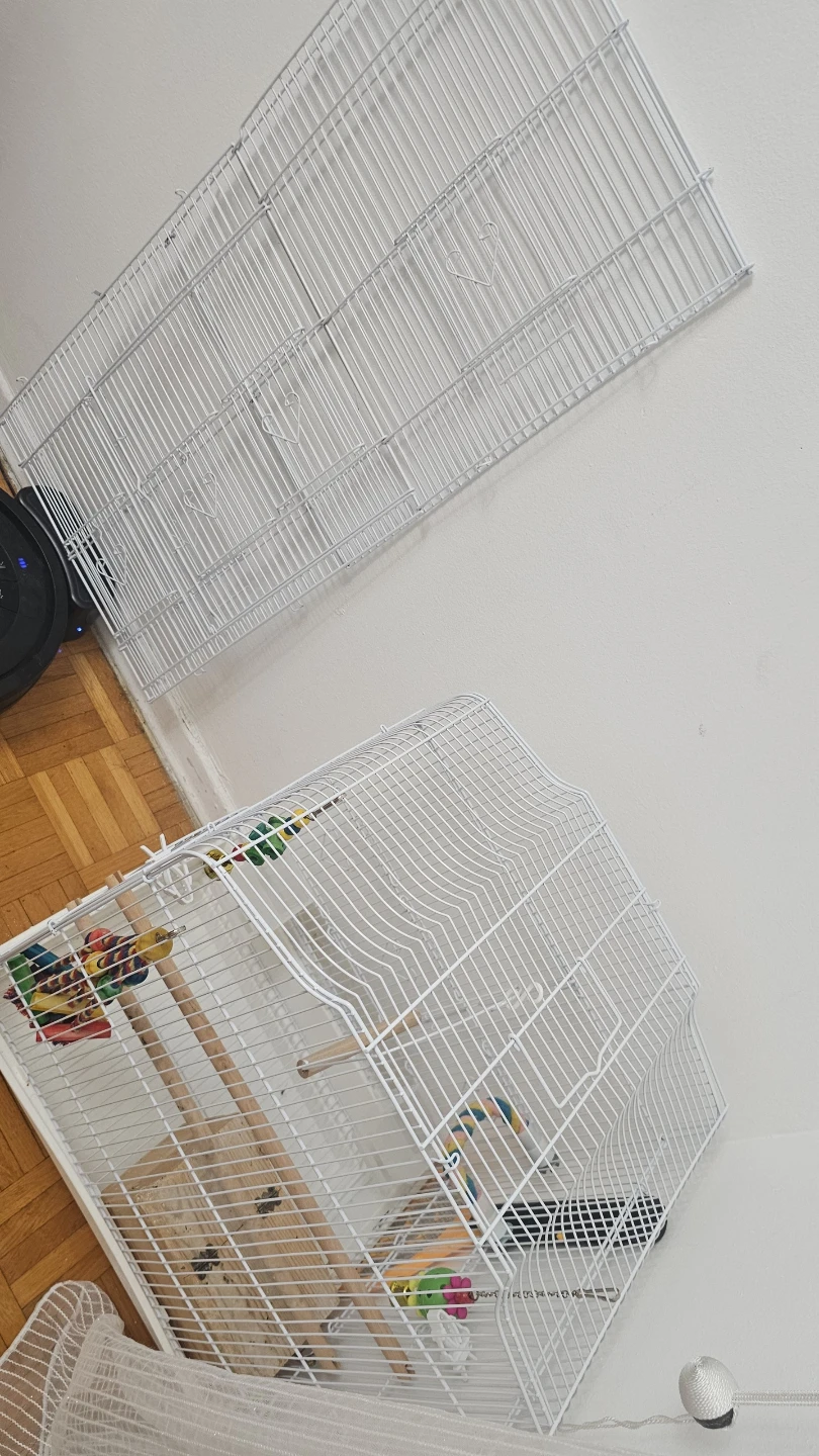 White Bird cage