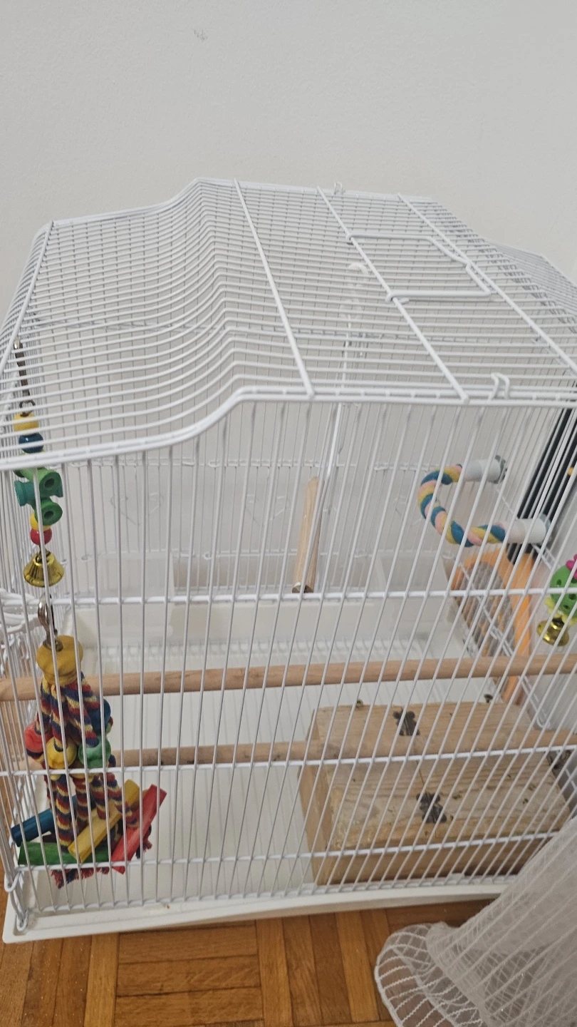 White Bird cage - photo 2