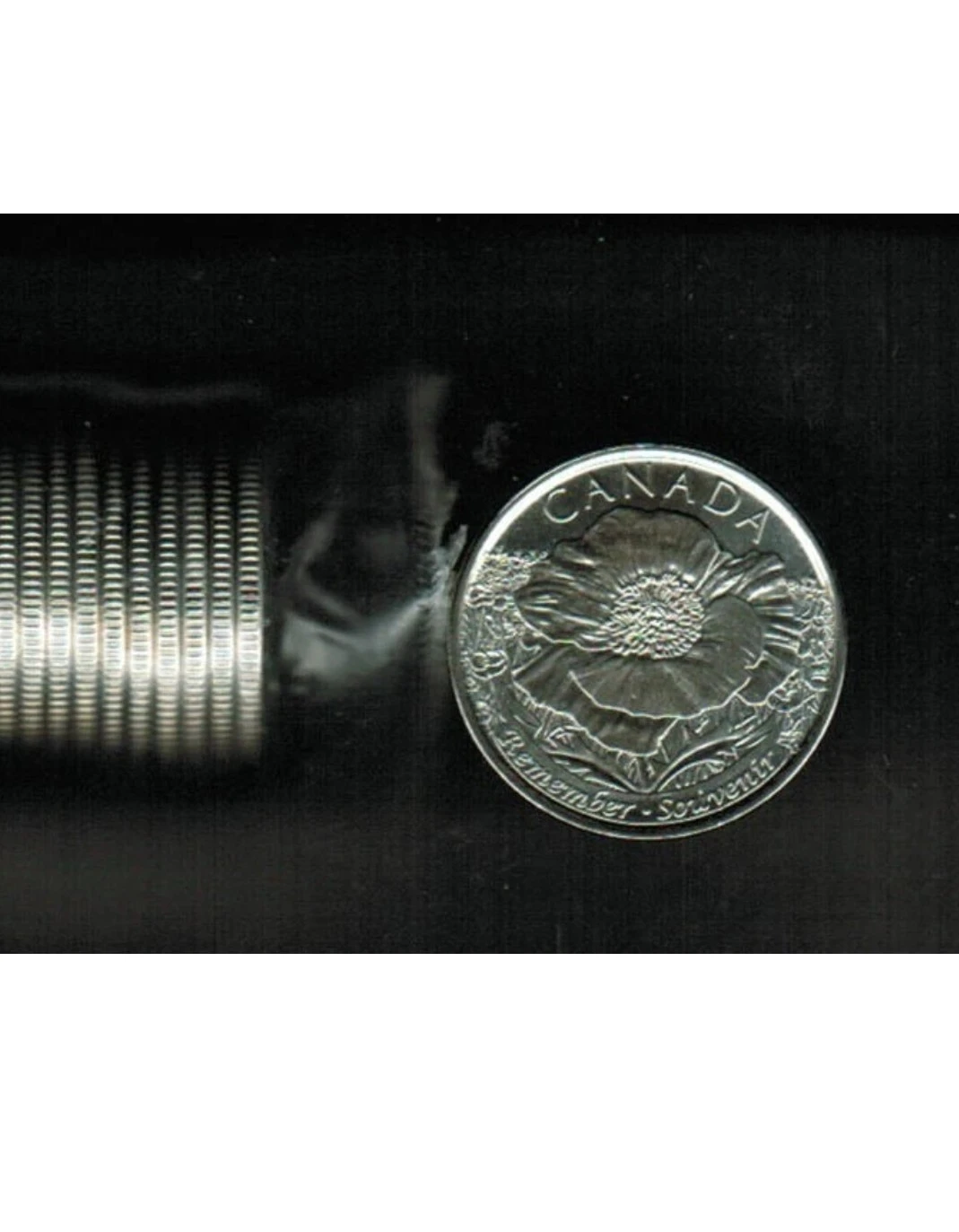 Canada Poppy Souvenir Coin UNC Roll (25 cent)