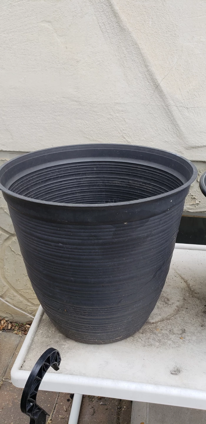 6 Large Black Plastic Plant Pots $2 each - photo 5