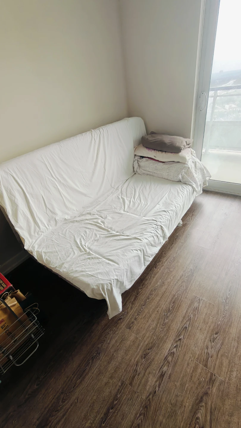 IKEA LYCKSELE 2-seat sofa-bed set