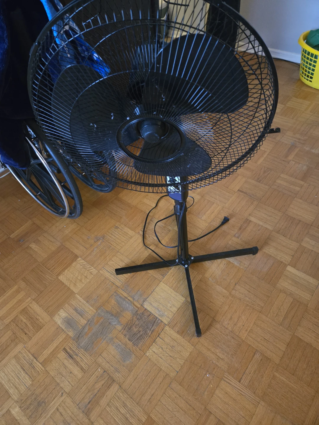Black Oscillating Pedestal Fan