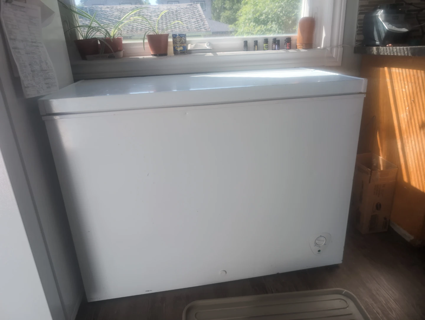 White Chest Freezer