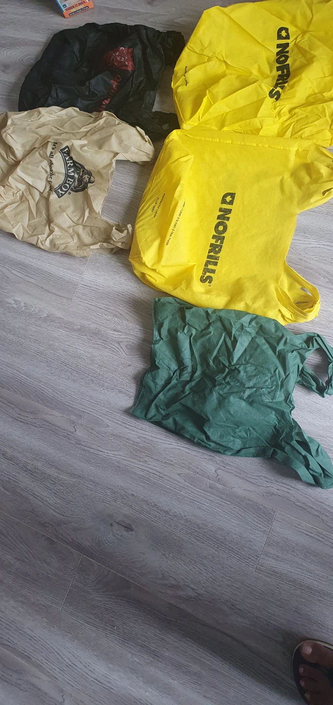 Empty  Shopping Bags