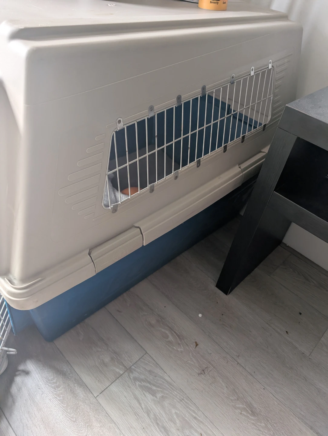 Pet Carrier GIANT 550 - photo 2