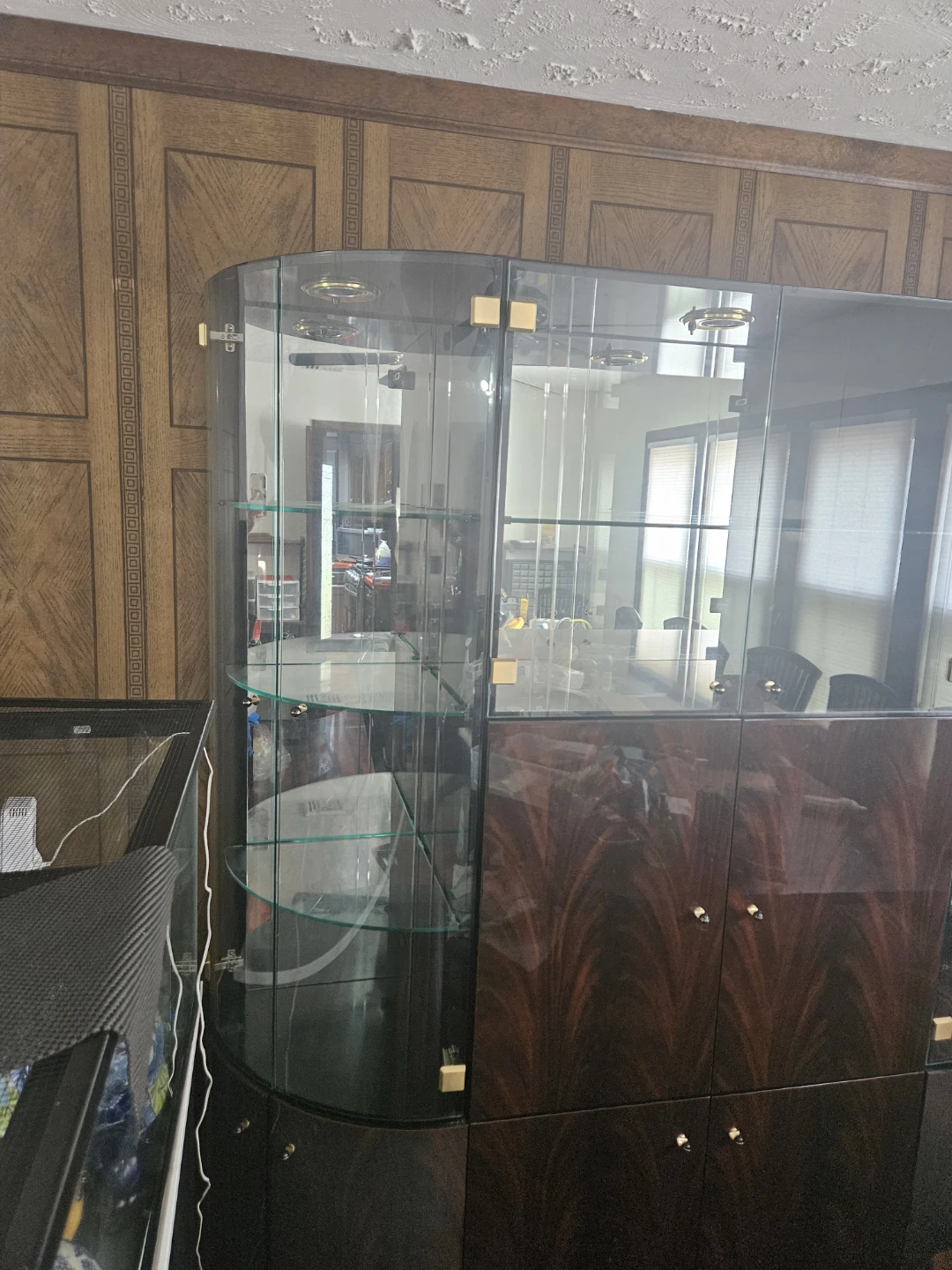 Curved Glass Display Cabinet with Wood Base