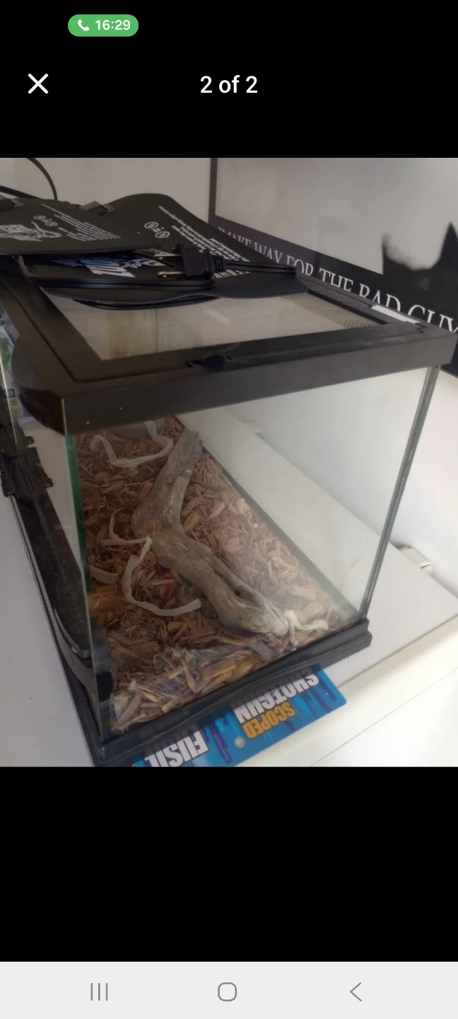 Terrarium with heat mat - photo 2