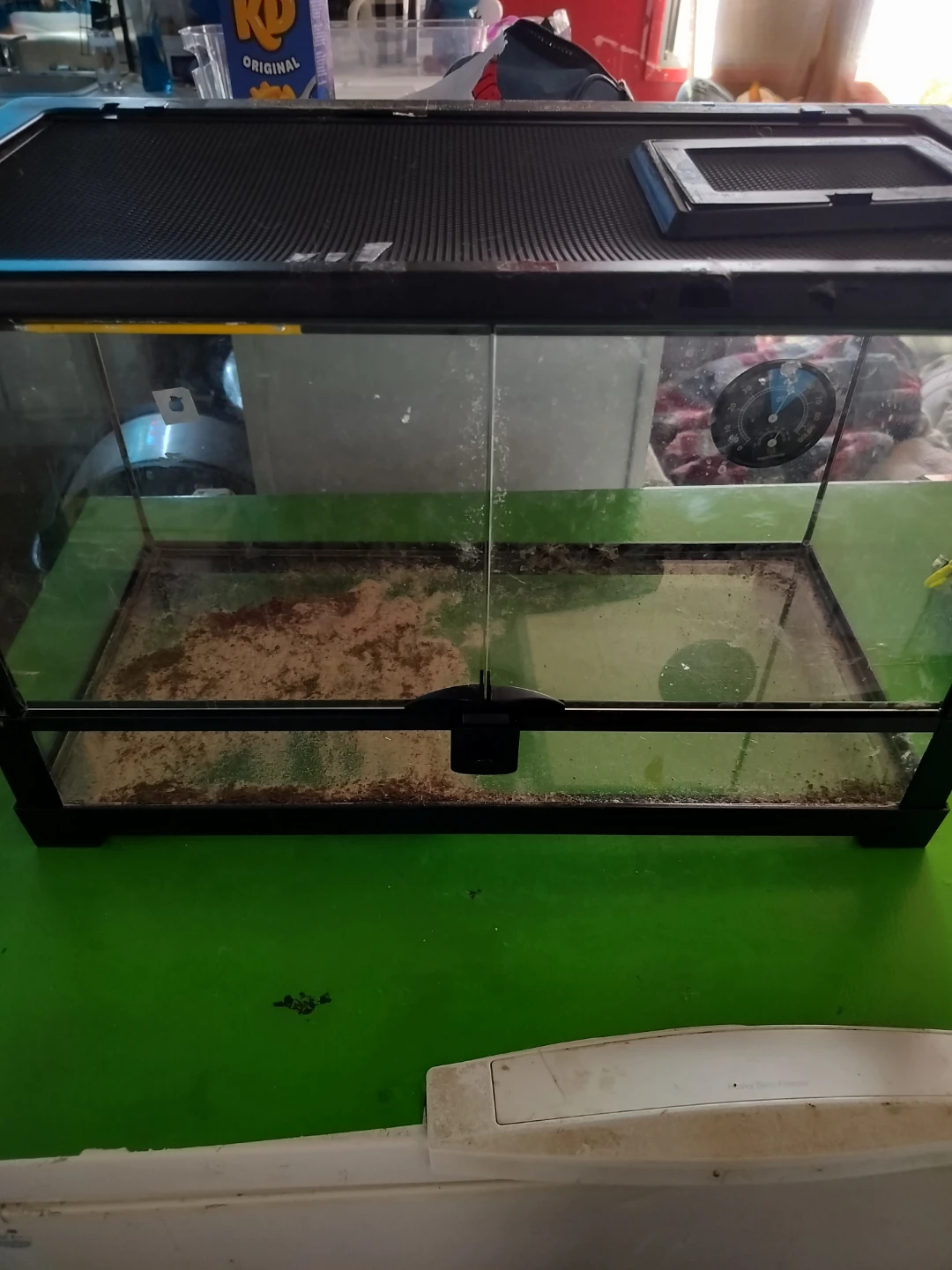 Terrarium with glass doors