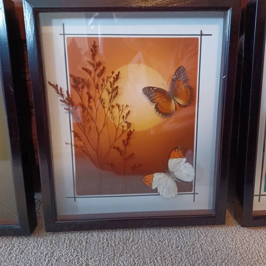 Framed Butterfly and Botanical Art - Set of 3 - photo 4