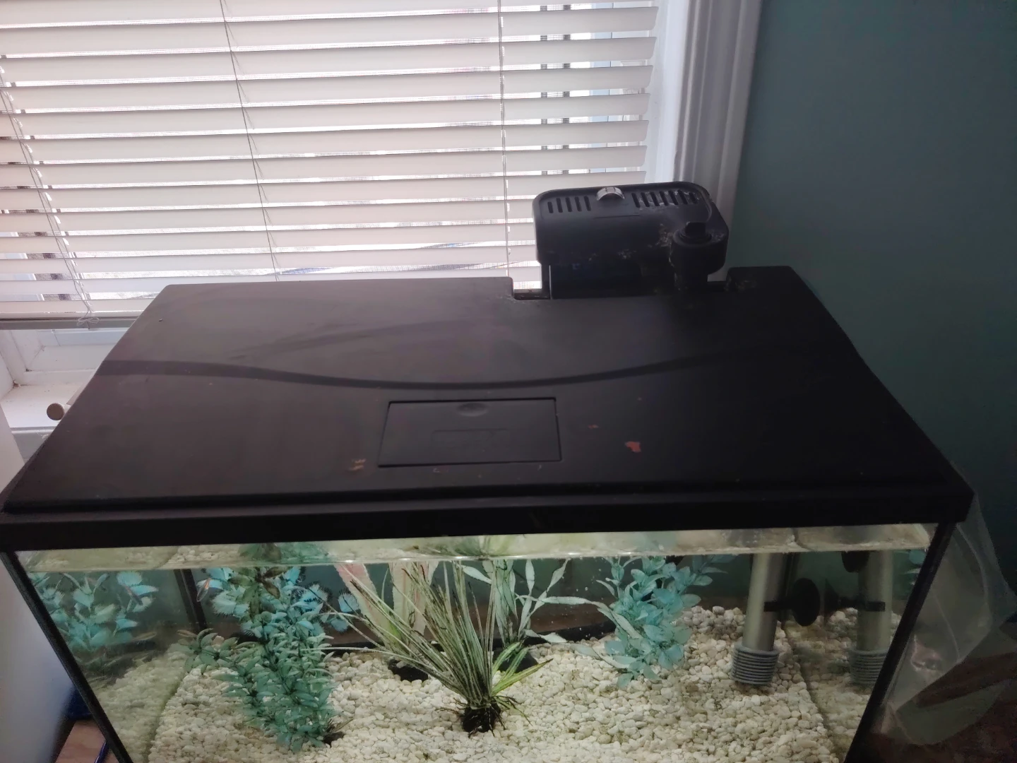 Aquarium with Filter and Fish Food