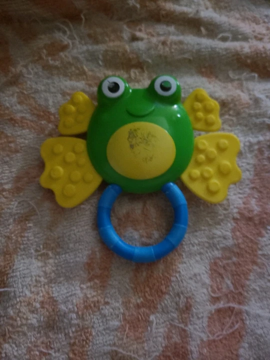 Sassy baby toy
