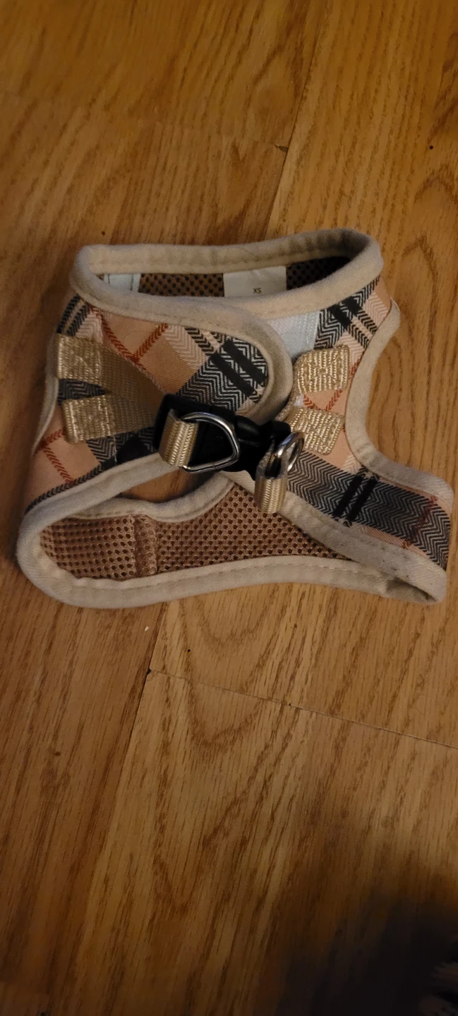 Dog Harnesses and Leashes - XS - photo 2