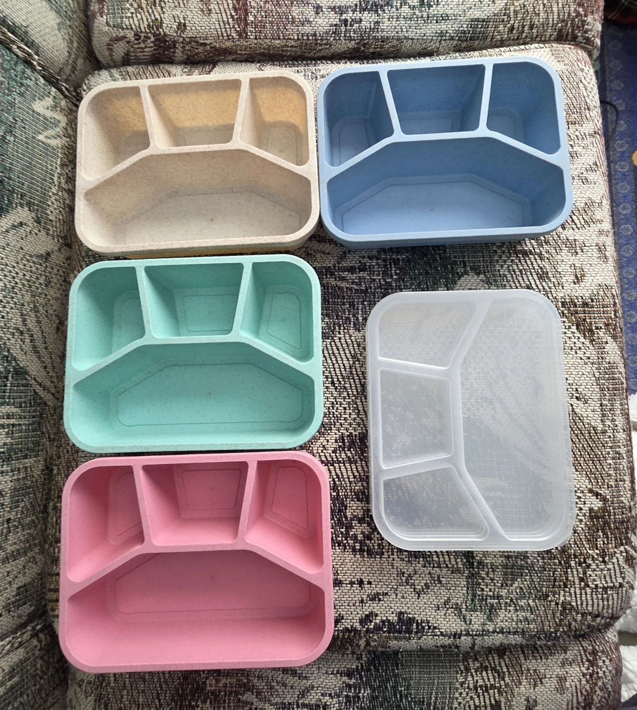 Set of 5 Divided Bento Lunch Boxes with Lids