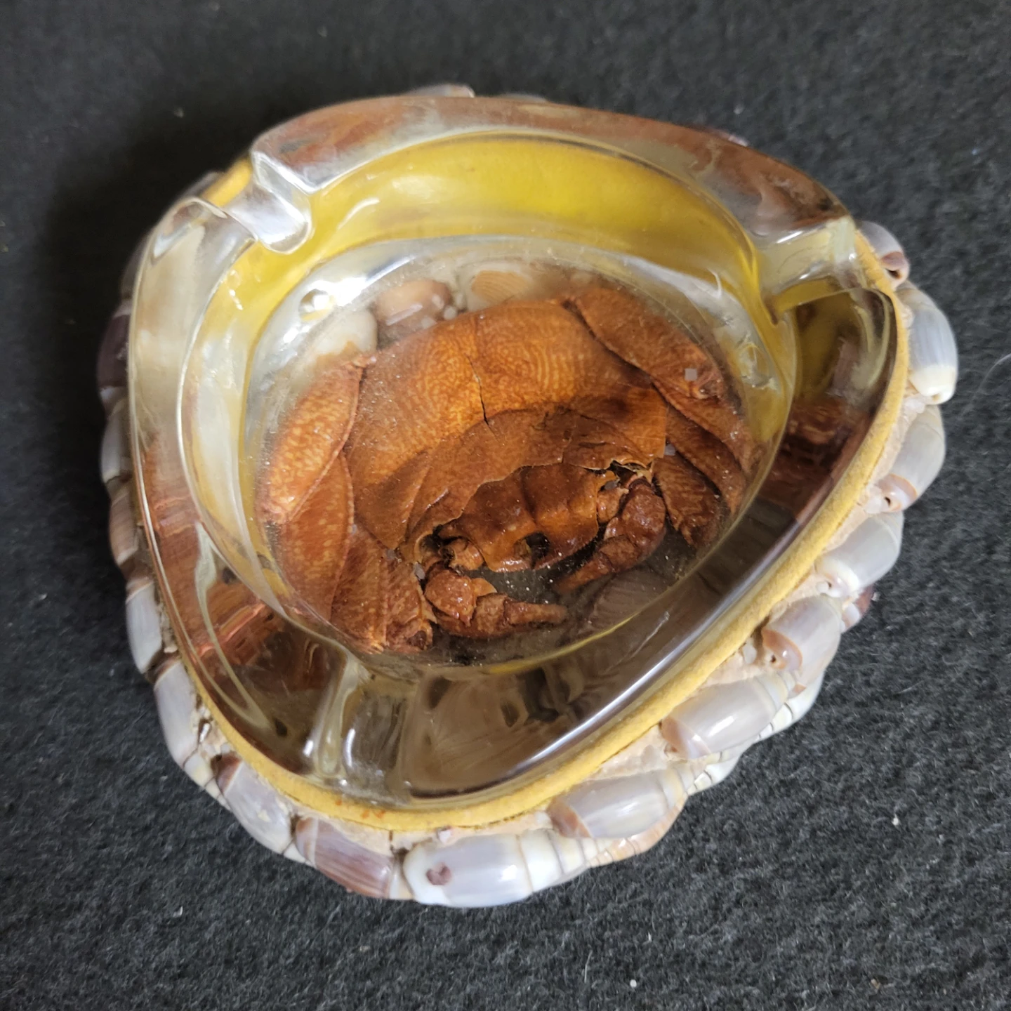 Glass Ashtray with Seashell Trim