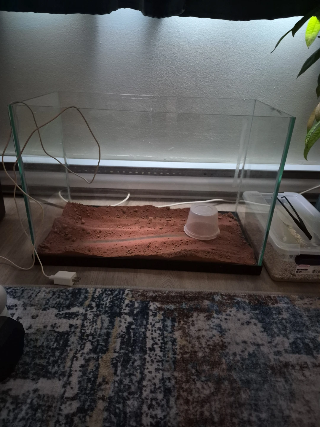 Glass Terrarium Tank