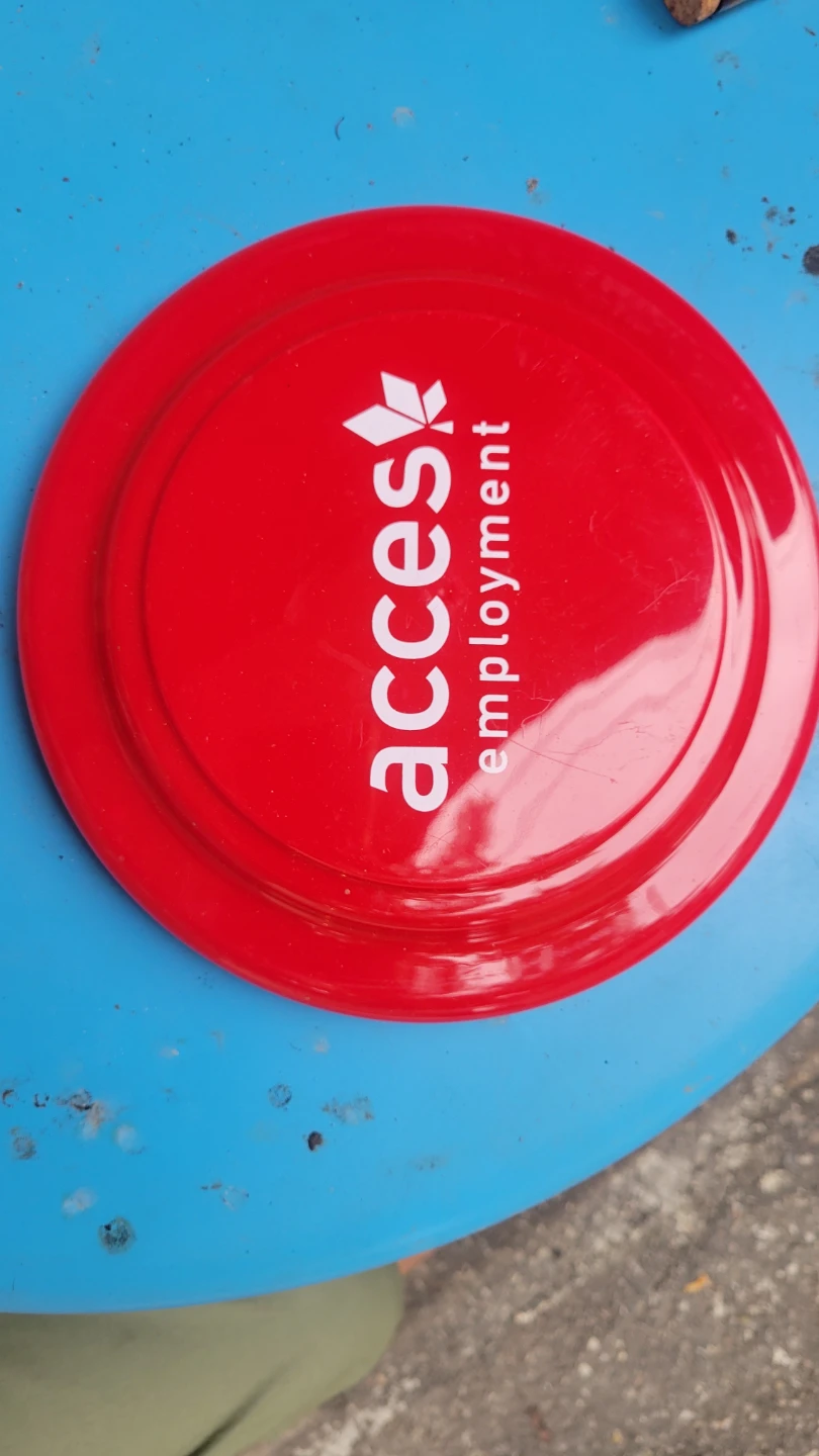 FREE Frisbee