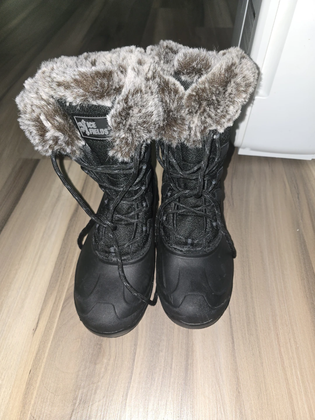Snow shoe - photo 2