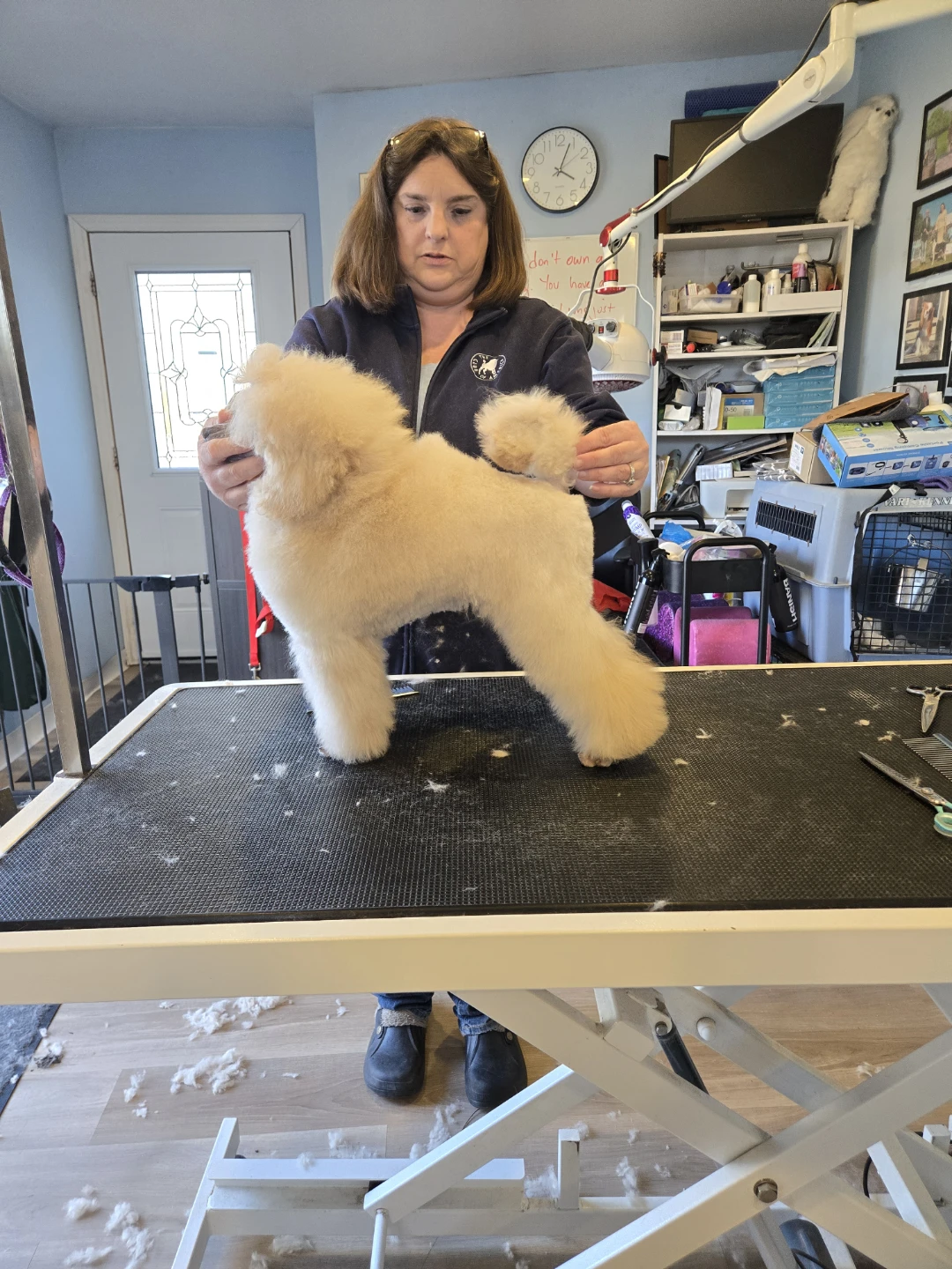 Professional all breed dog grooming - photo 5
