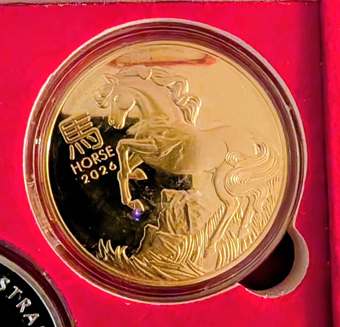 Year of the Horse Lucky Coins - photo 3
