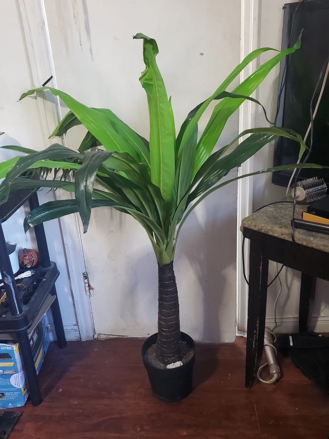 Artificial Dracaena Plant