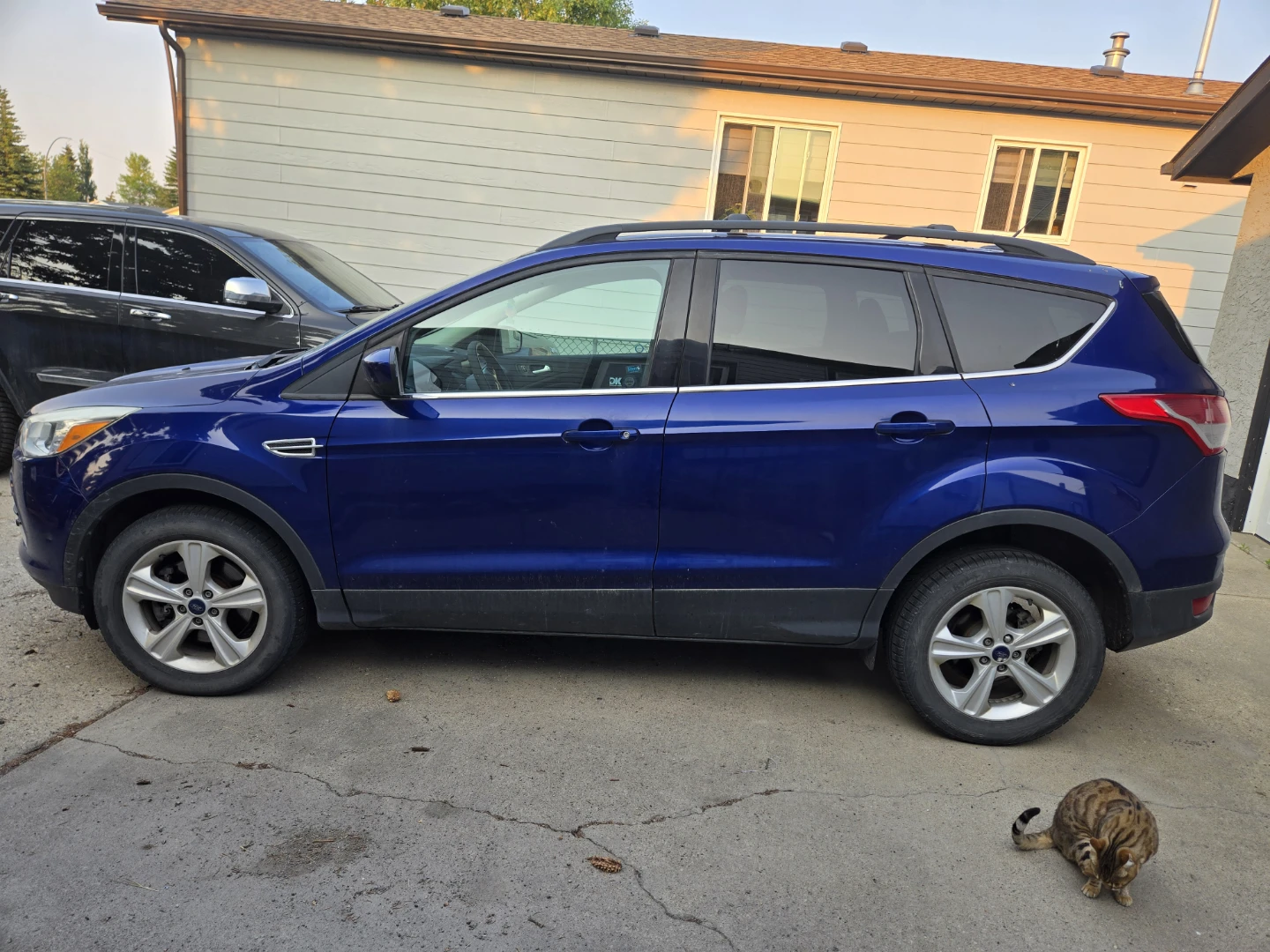 Blue Ford Escape