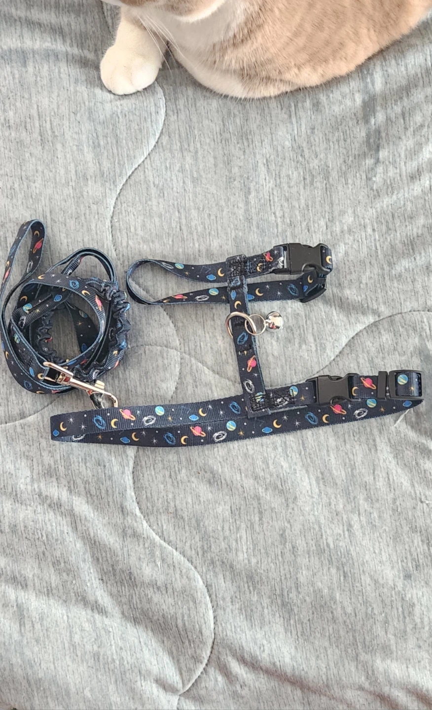 Cat Harness and Leash Set - Medium