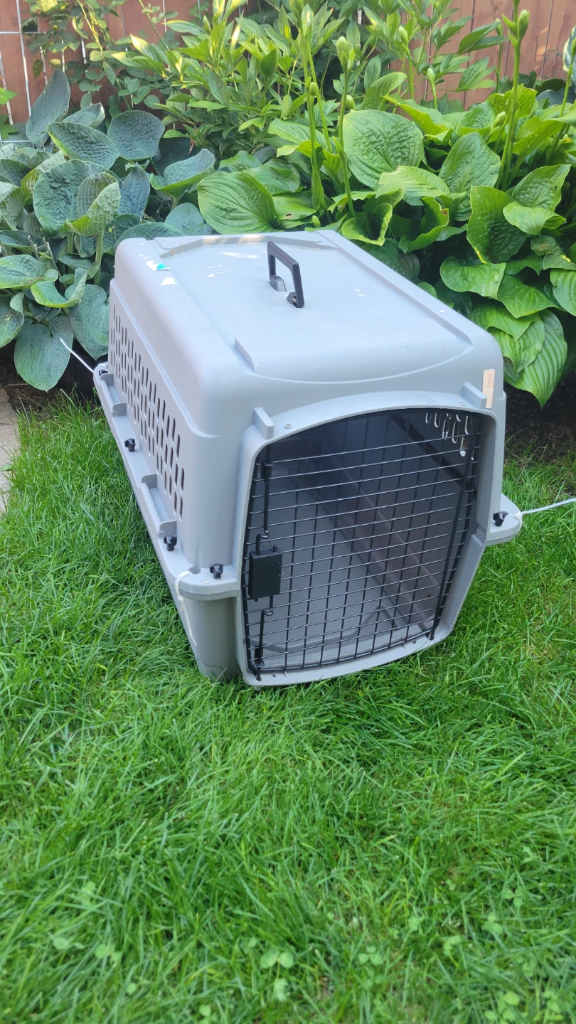 Pet travel Carrier in perfect condition
