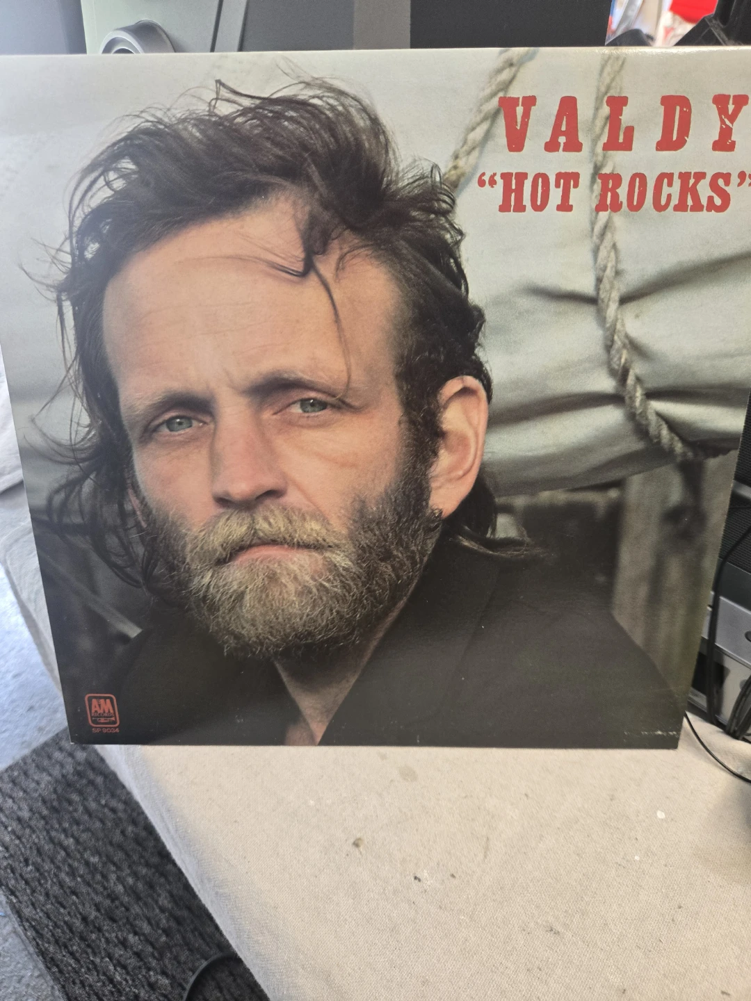 Valdy Hot Rocks Vinyl Record