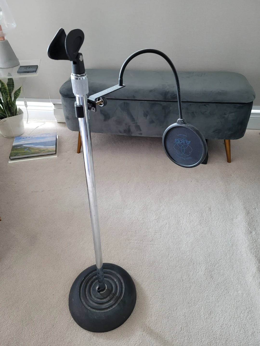 Mic stand and pop filter