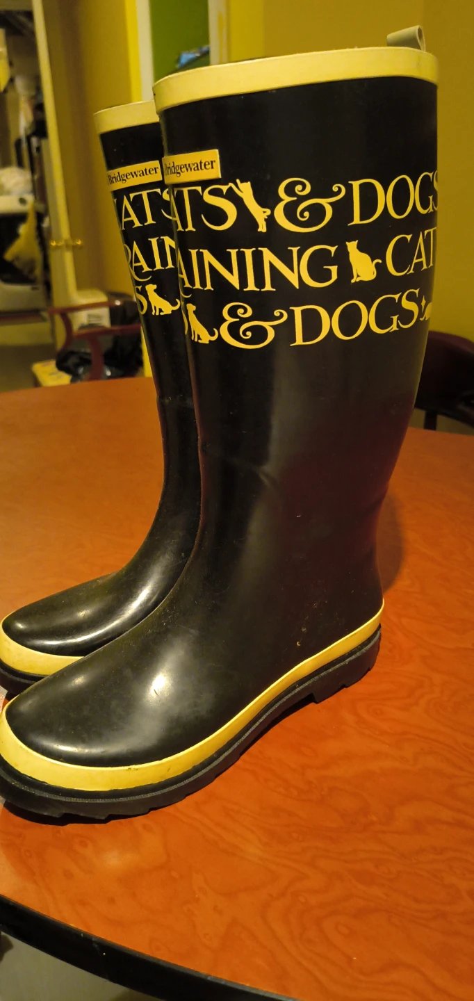 Emma Bridgewater "Cats & Dogs" Rain Boots - photo 2
