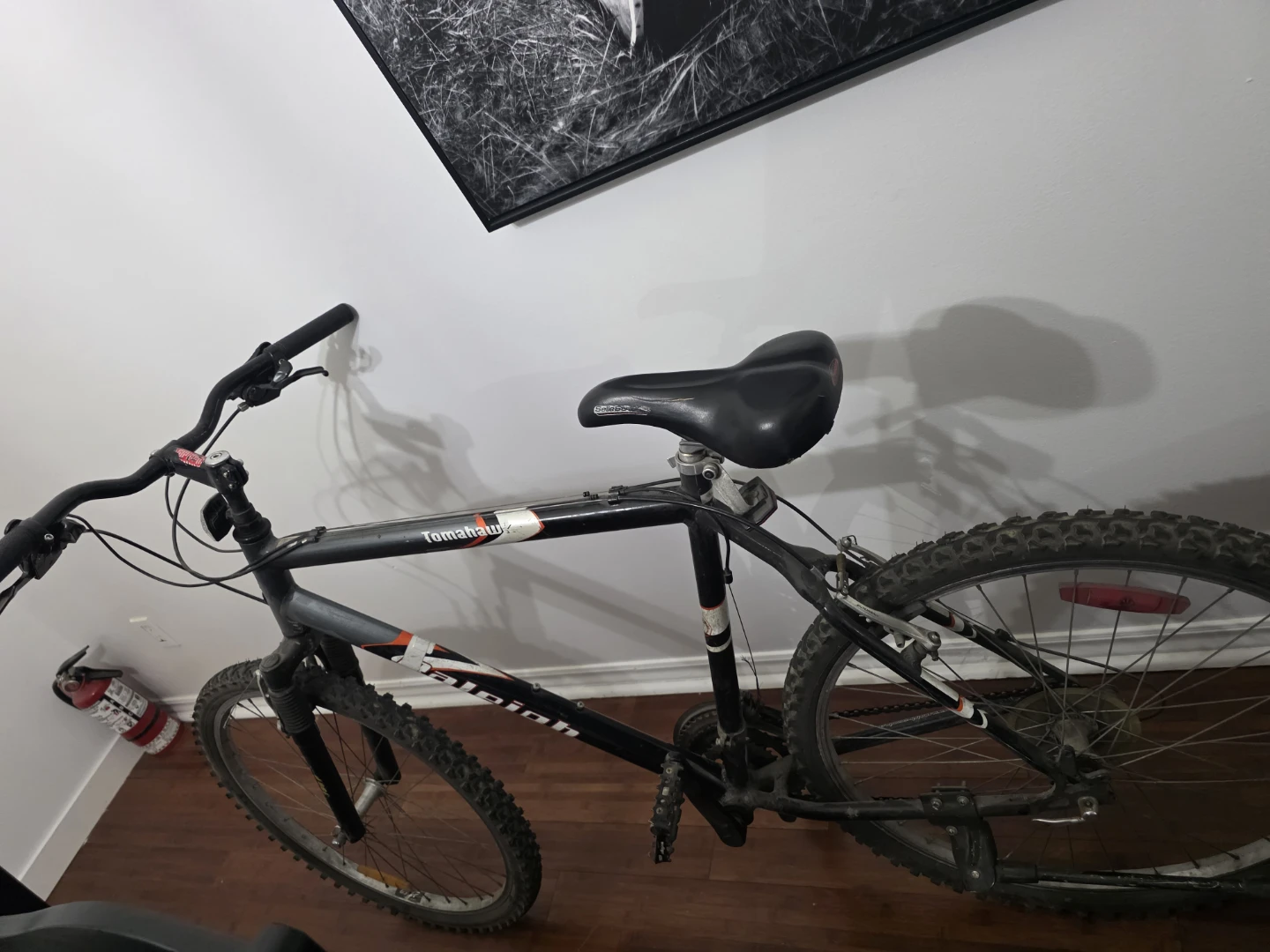 Raleigh Tomahawk Mountain Bike