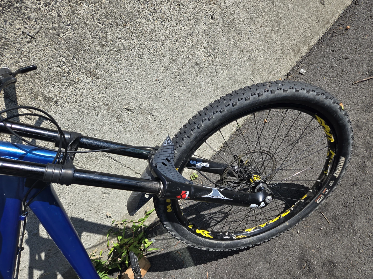 Kona stinky - photo 5