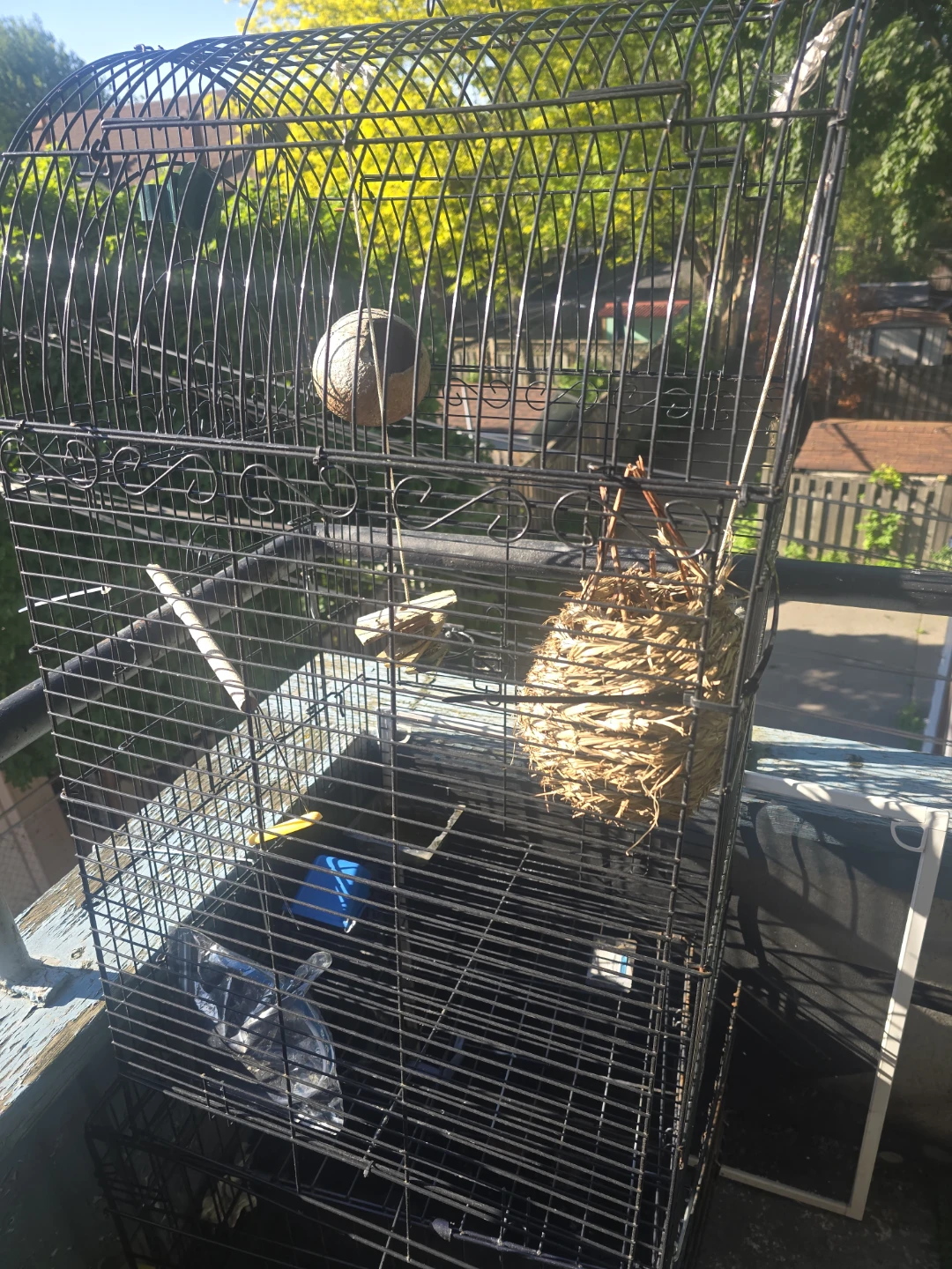 Black Metal Bird Cage with Accessories
