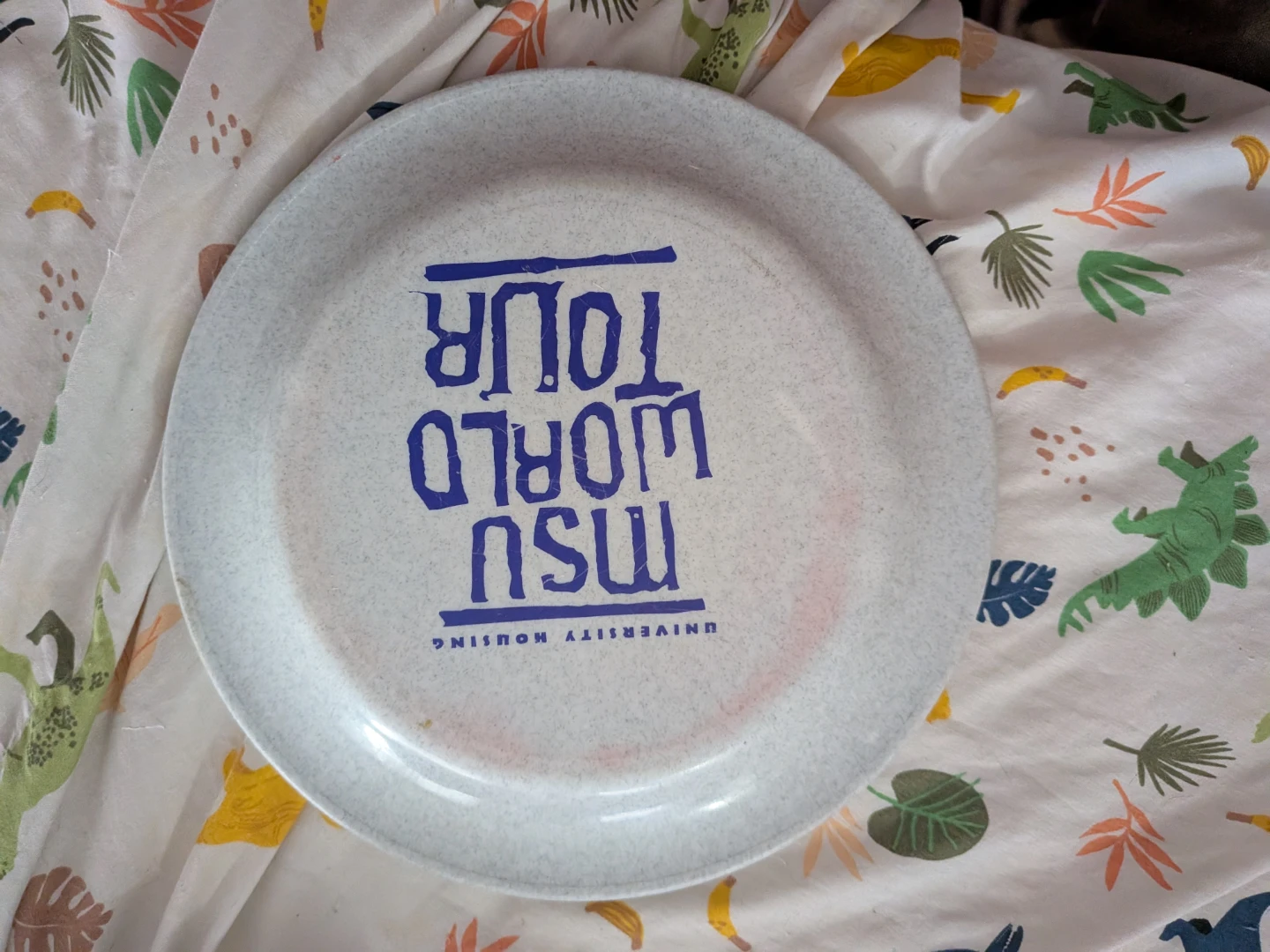 MSU University Housing World Tour Plate