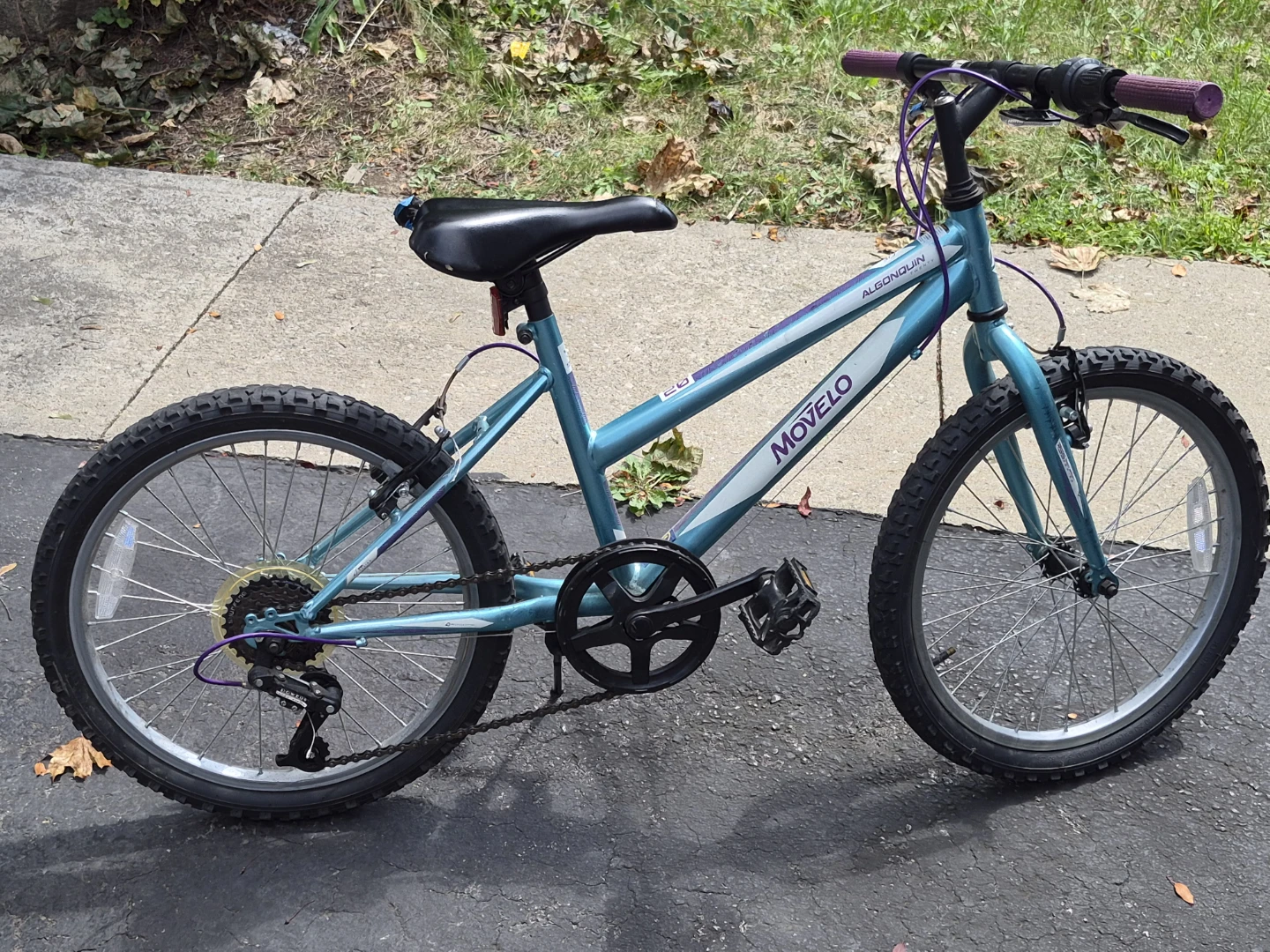 Movelo 20-inch Bicycle