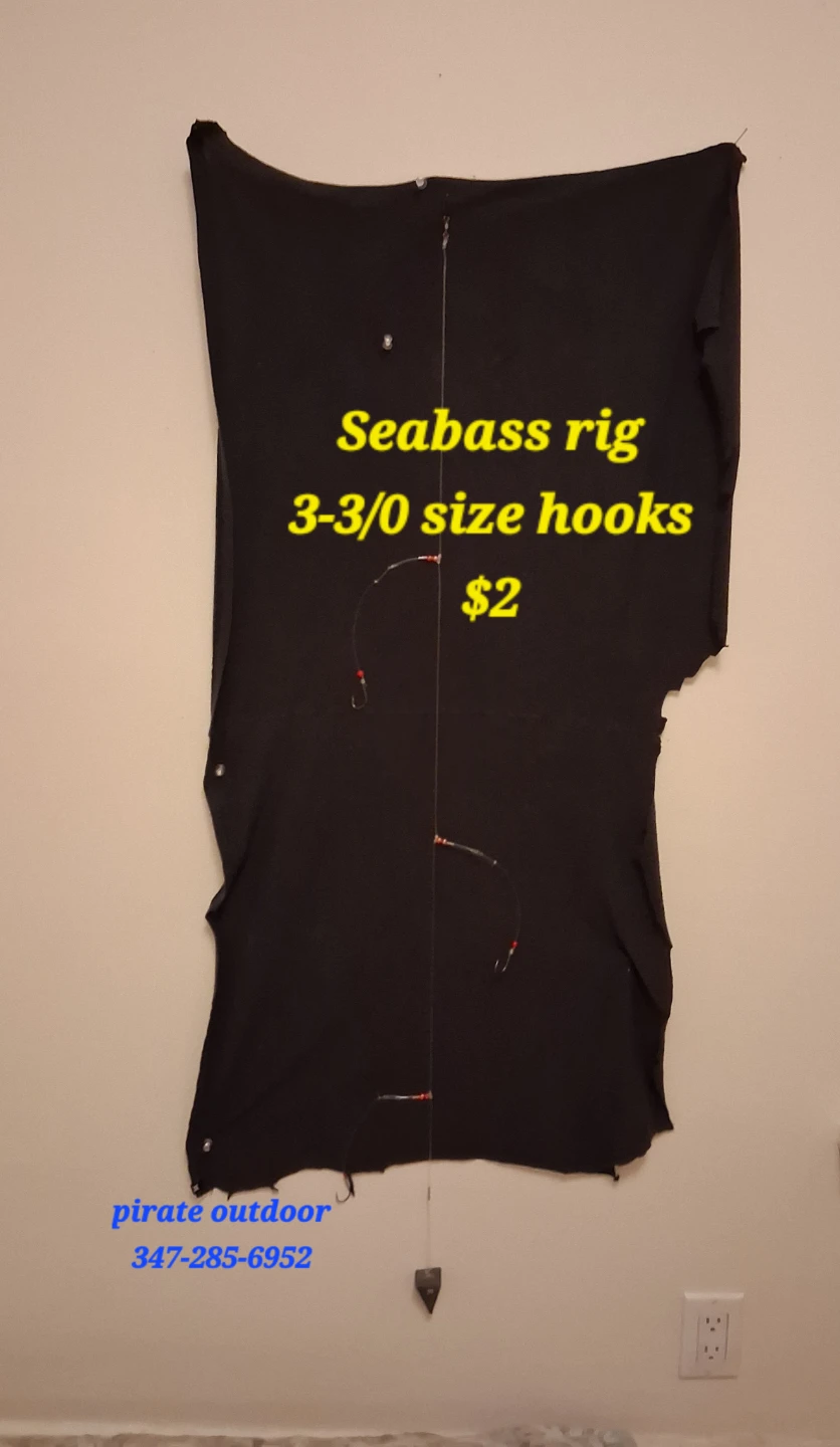Fishing Rig for Porgy and Seabass - photo 2