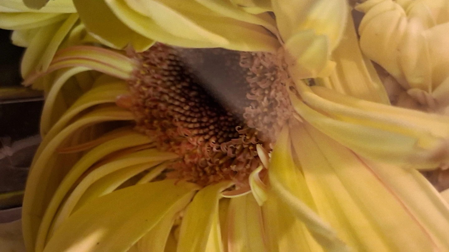 Mixed Flower Bouquet - photo 5