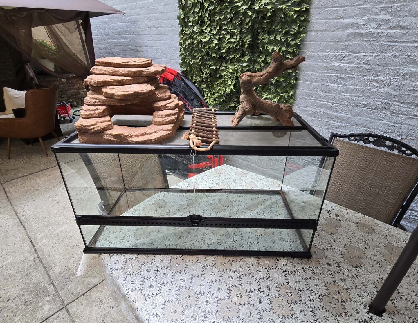 Glass Terrarium with Decor
