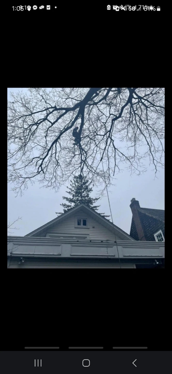 Jackman Treecare - photo 3