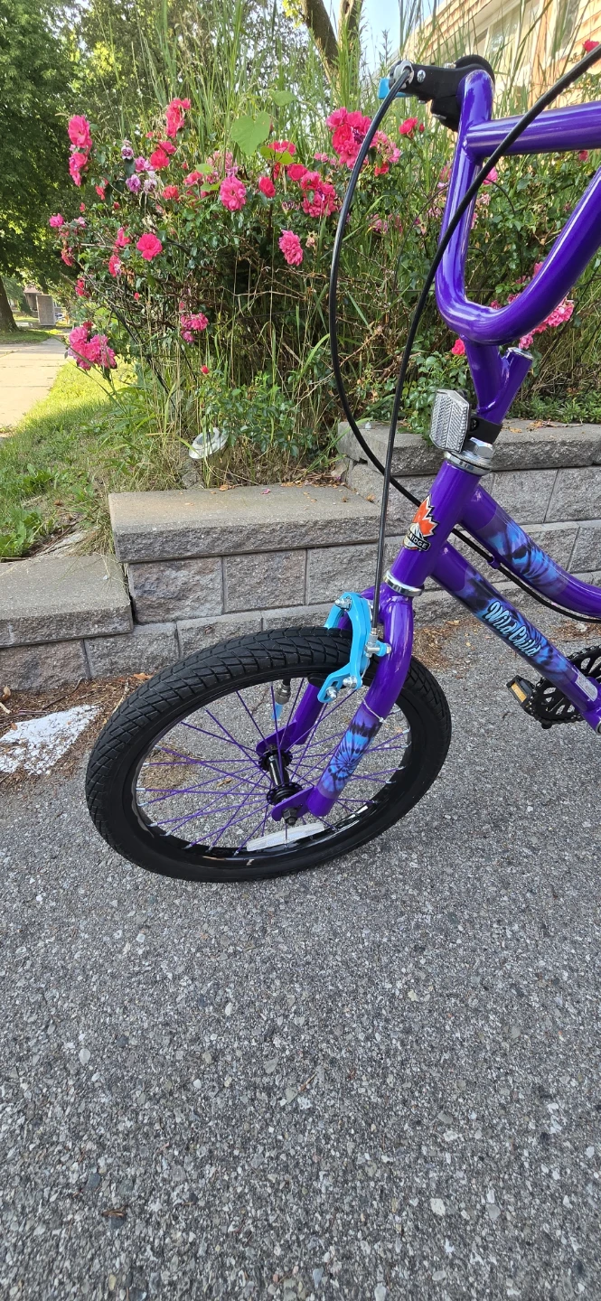 18" Stoneridge Wild Child Bike - Like New — $50 (Moving Sale) - photo 3