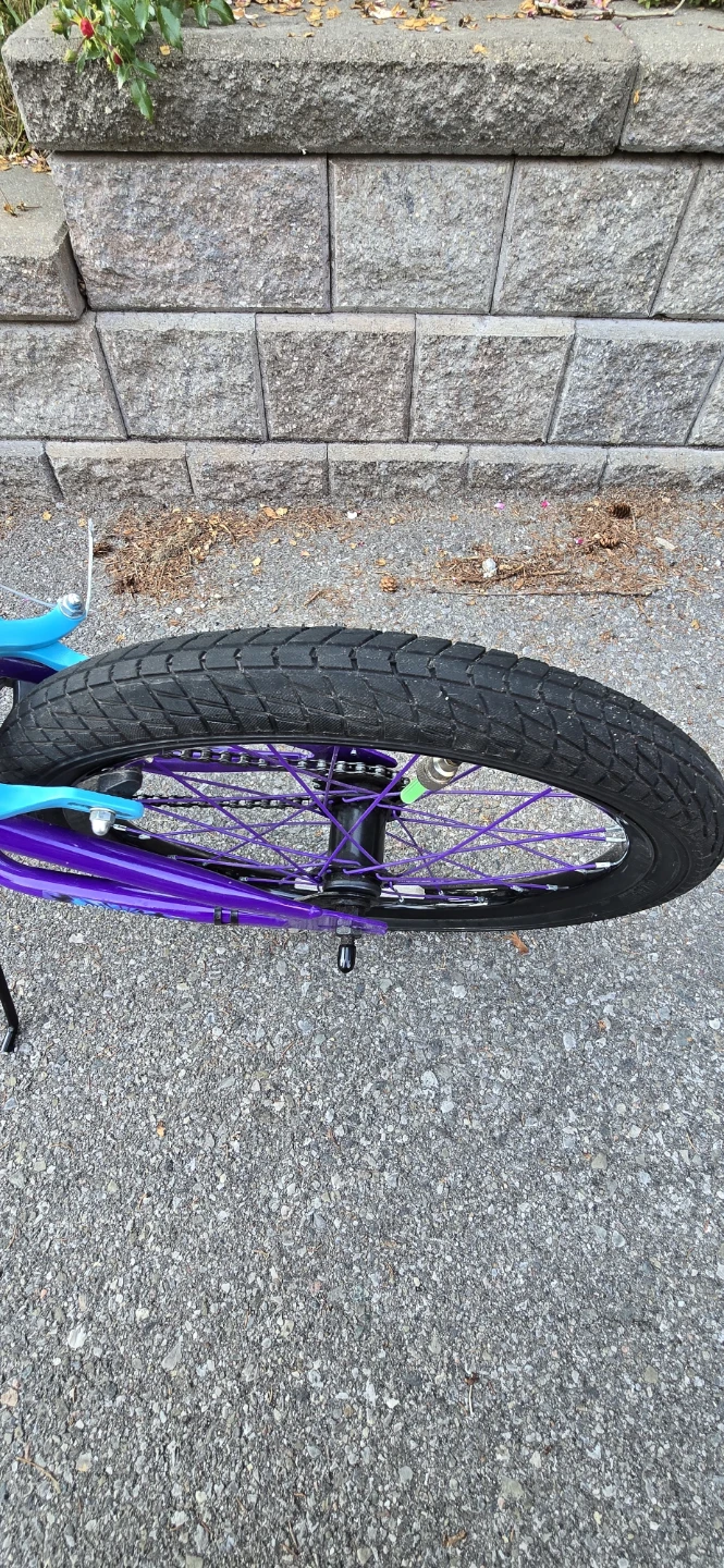 18" Stoneridge Wild Child Bike - Like New — $50 (Moving Sale) - photo 4