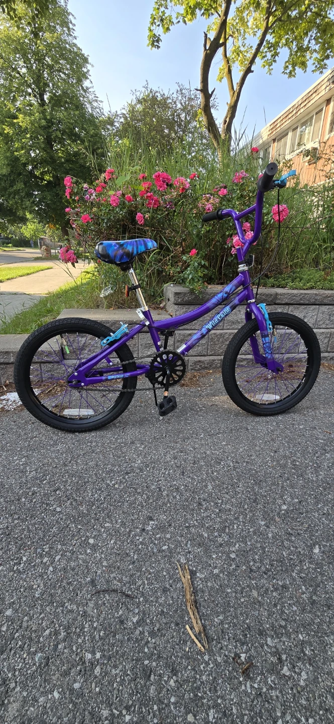 18" Stoneridge Wild Child Bike - Like New — $50 (Moving Sale) - photo 5