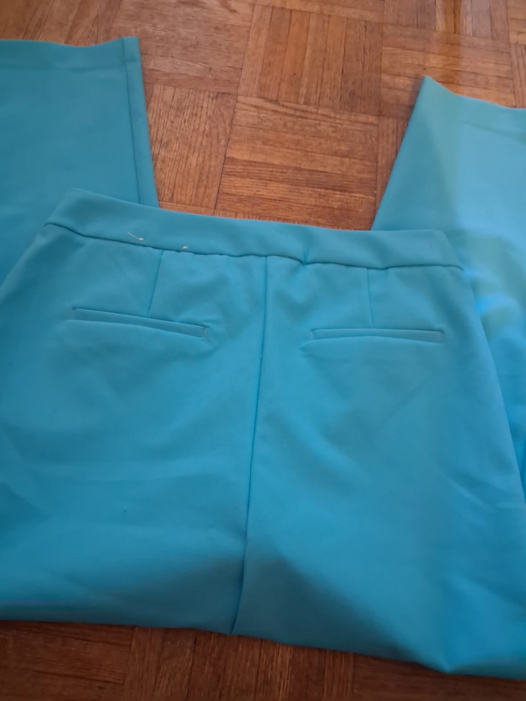 Rachel Zoe Women's Blue Pants Size 8 - photo 3