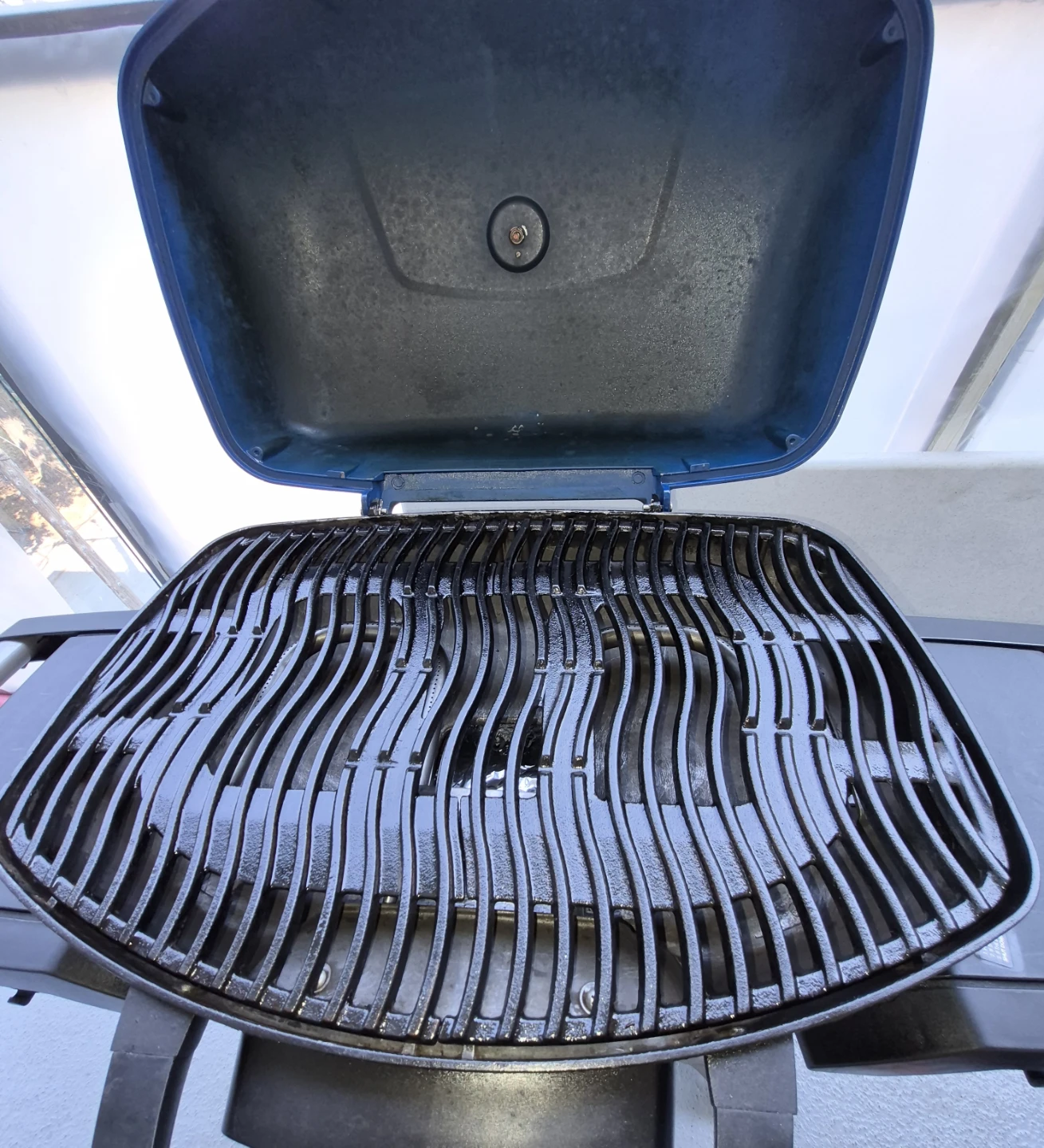 Napoleon Portable Propane Grill🔥🔥🔥 - photo 3