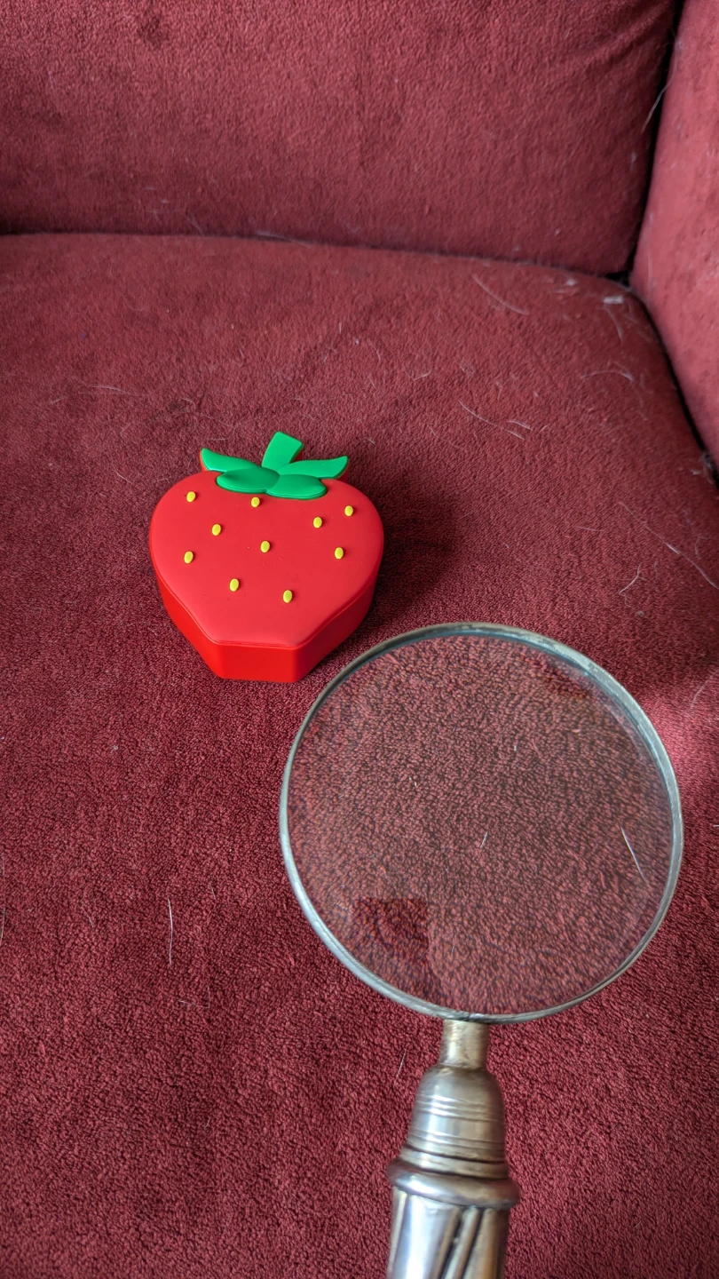 Magnifying Glass Vintage with Ornate Handle - photo 3